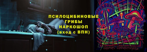 эйфоретик Касимов