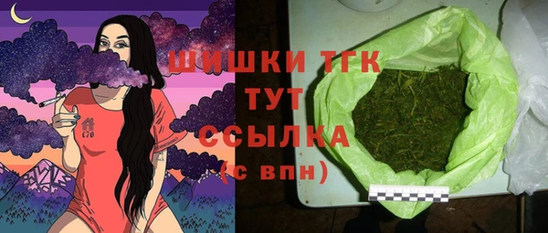 ГАЛЛЮЦИНОГЕННЫЕ ГРИБЫ Карталы