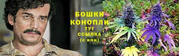 ГАЛЛЮЦИНОГЕННЫЕ ГРИБЫ Карталы
