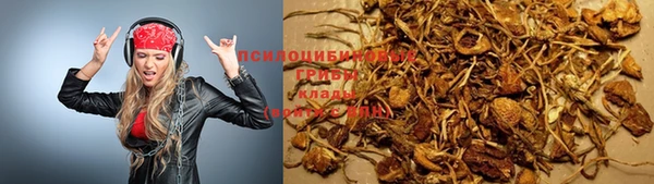 ГАЛЛЮЦИНОГЕННЫЕ ГРИБЫ Карталы